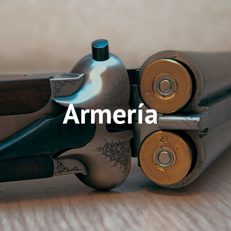JV Armería